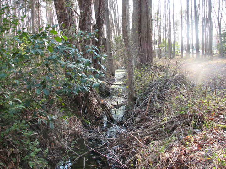 Field photo showing stream conditions at site UPCK-102-R-2007-1