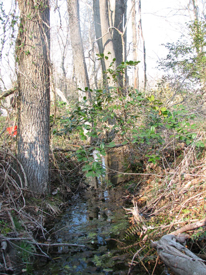 Field photo showing stream conditions at site UPCK-102-R-2007-2