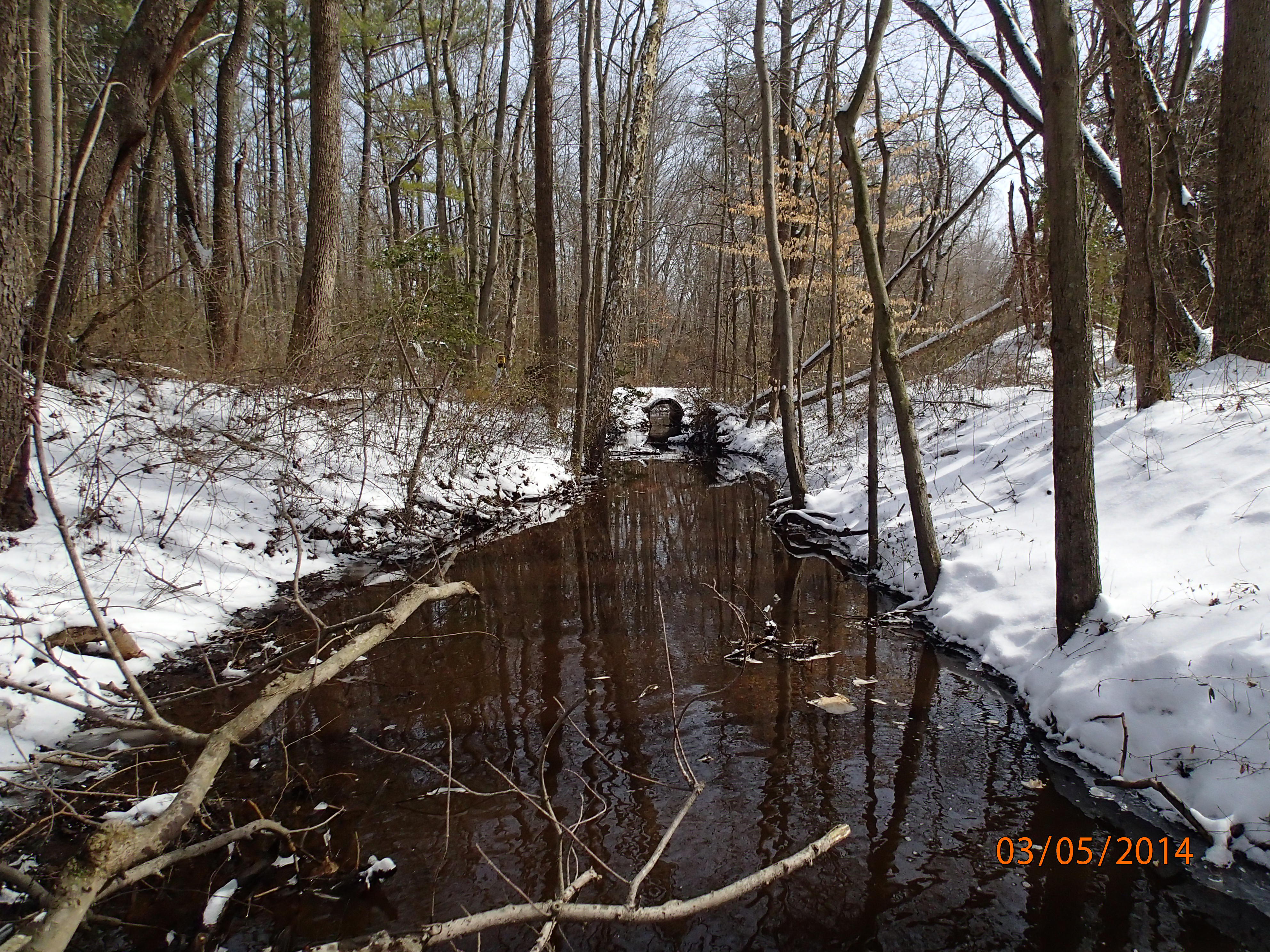 Field photo showing stream conditions at site UPCK-102-R-2014-MidpointDownstream