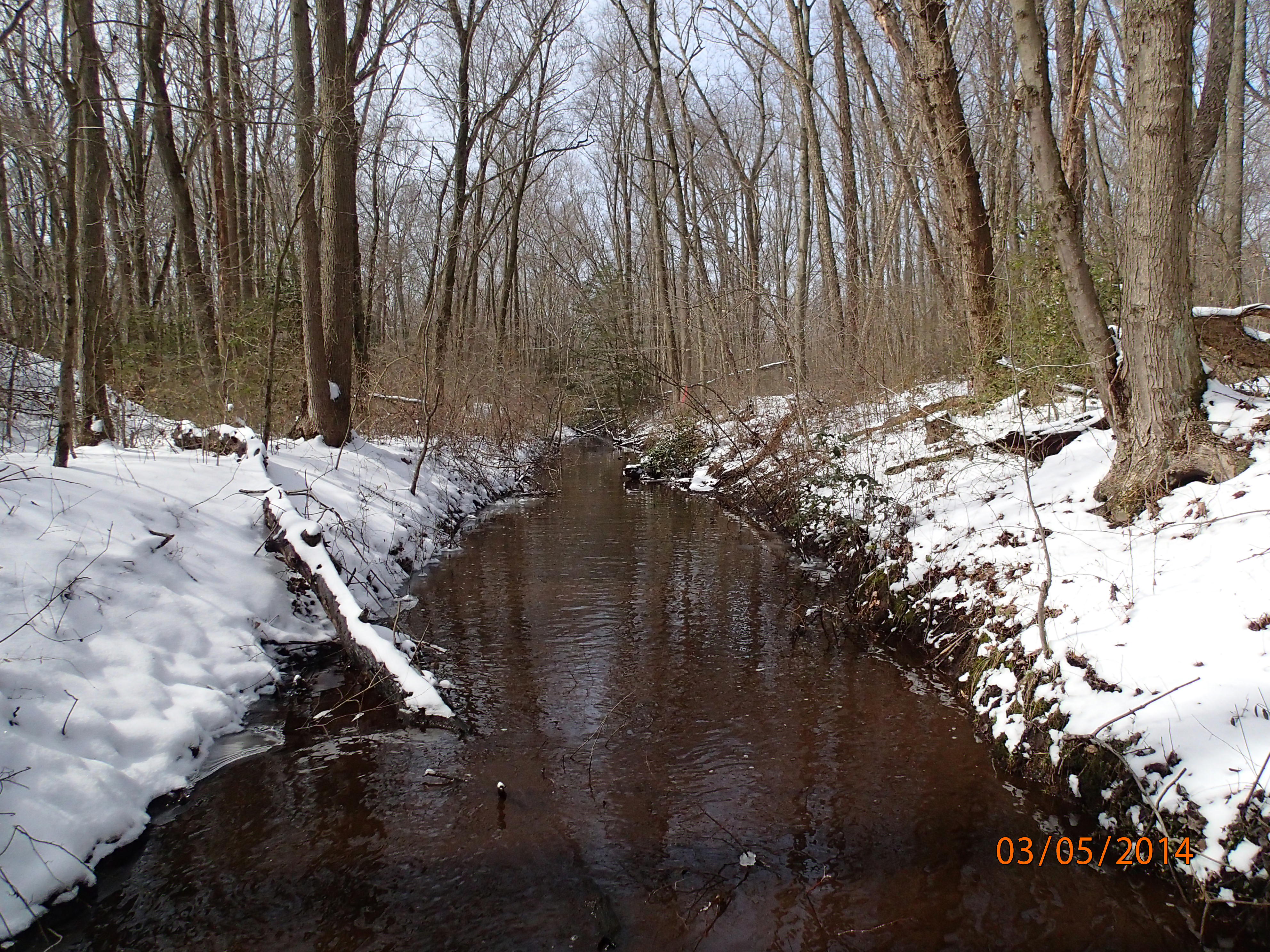 Field photo showing stream conditions at site UPCK-102-R-2014-MidpointUpstream