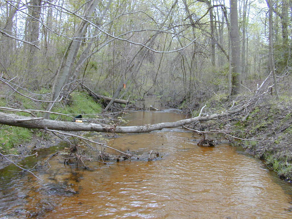 Field photo showing stream conditions at site UPCK-109-R-2000-01
