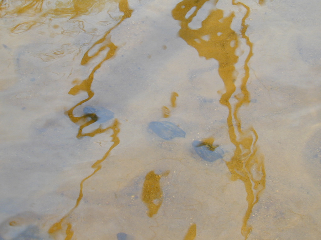 Field photo showing stream conditions at site UPCK-109-R-2000-03