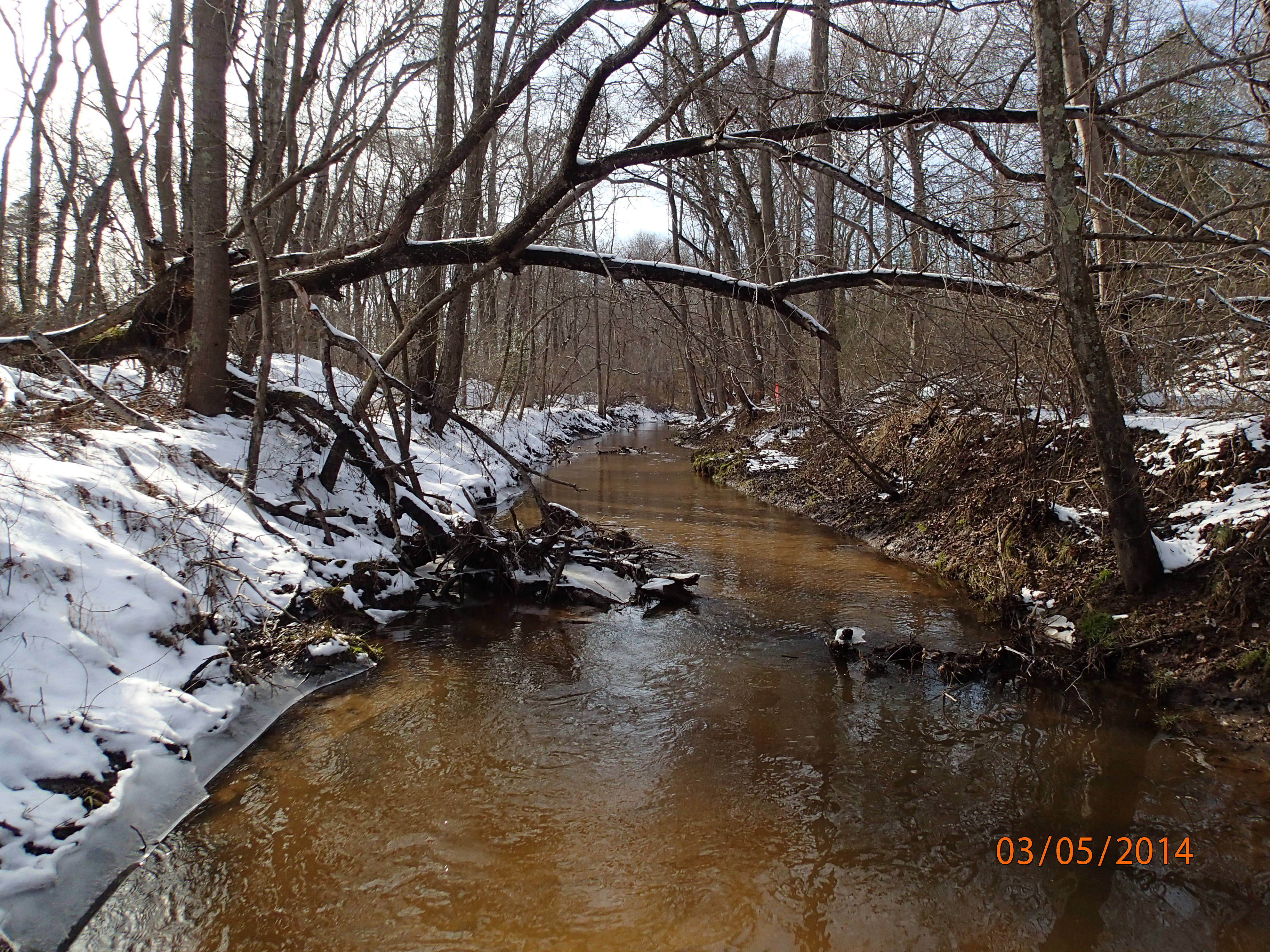 Field photo showing stream conditions at site UPCK-109-R-2014-MidpointUpstream