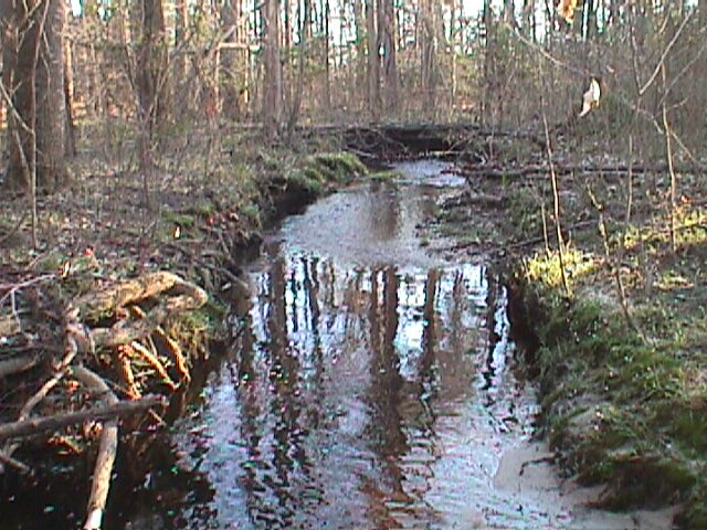 Field photo showing stream conditions at site UPCK-113-S-2000-13_11