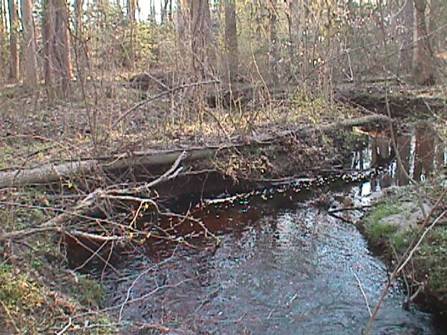 Field photo showing stream conditions at site UPCK-113-S-2000-13_12