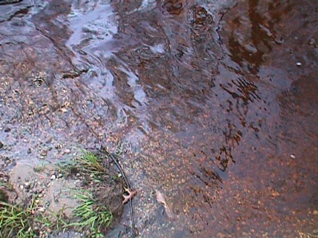 Field photo showing stream conditions at site UPCK-113-S-2000-13_13