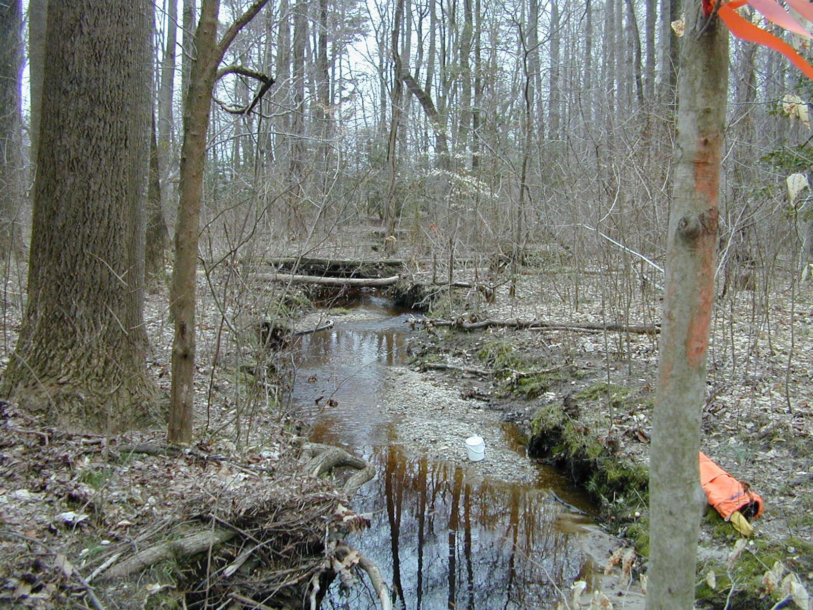Field photo showing stream conditions at site UPCK-113-S-2001-1