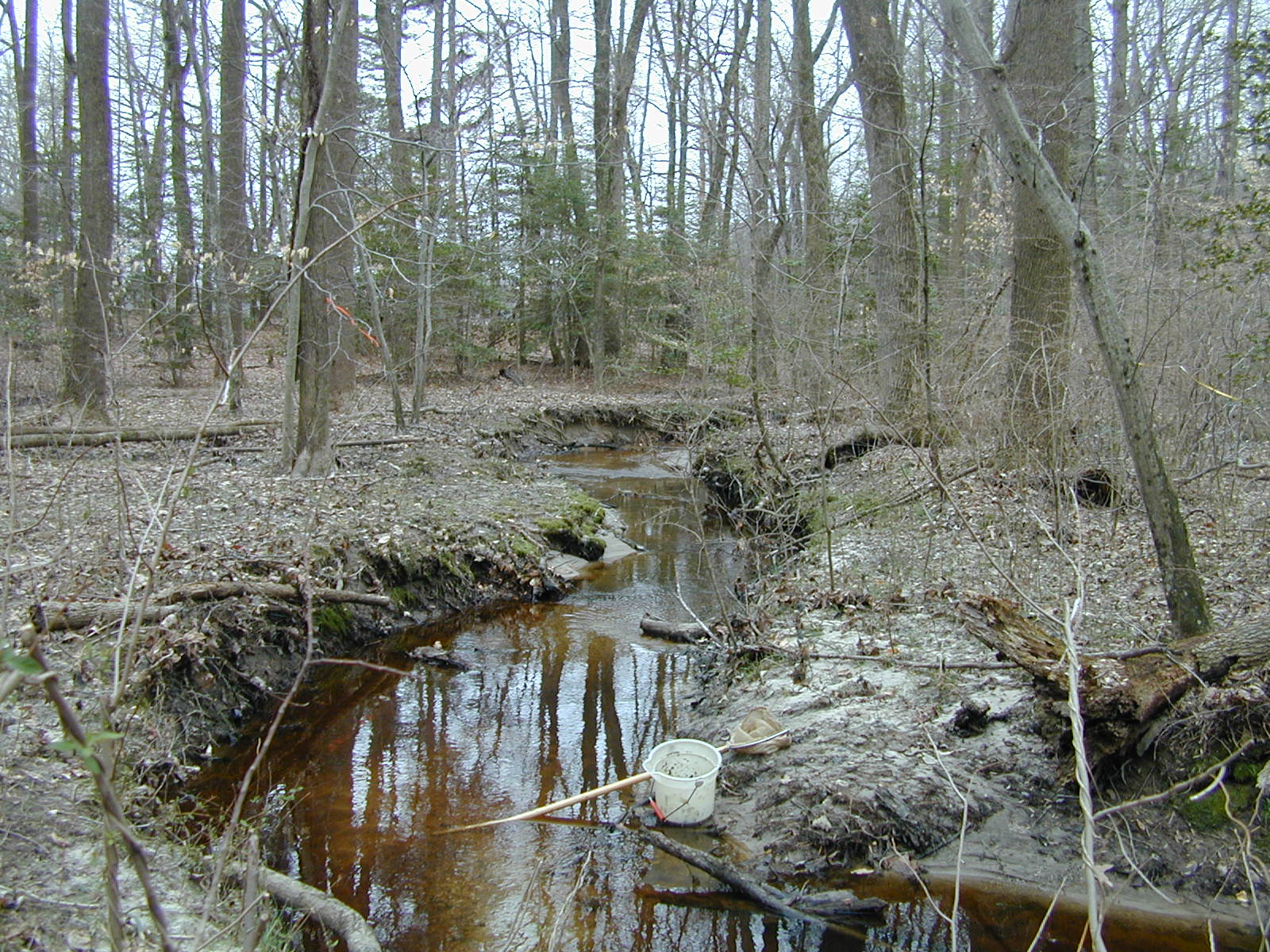 Field photo showing stream conditions at site UPCK-113-S-2001-2