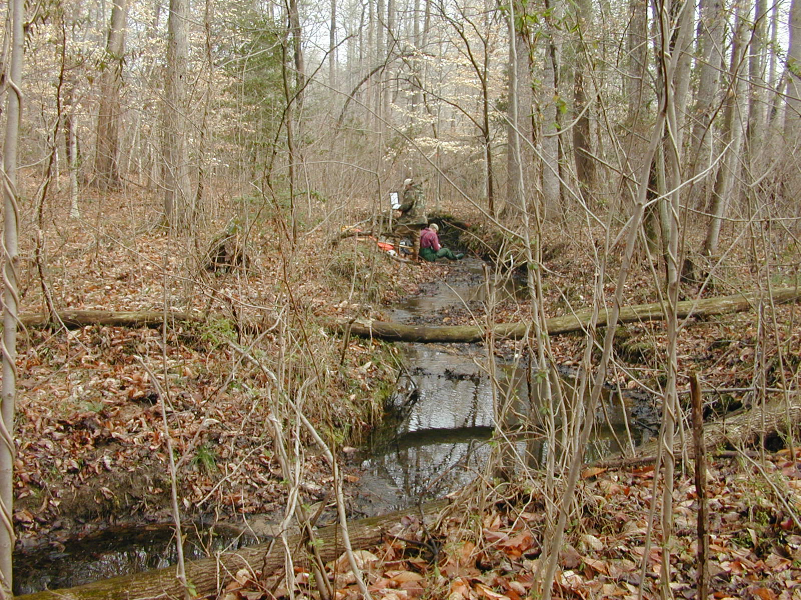 Field photo showing stream conditions at site UPCK-113-S-2002-2