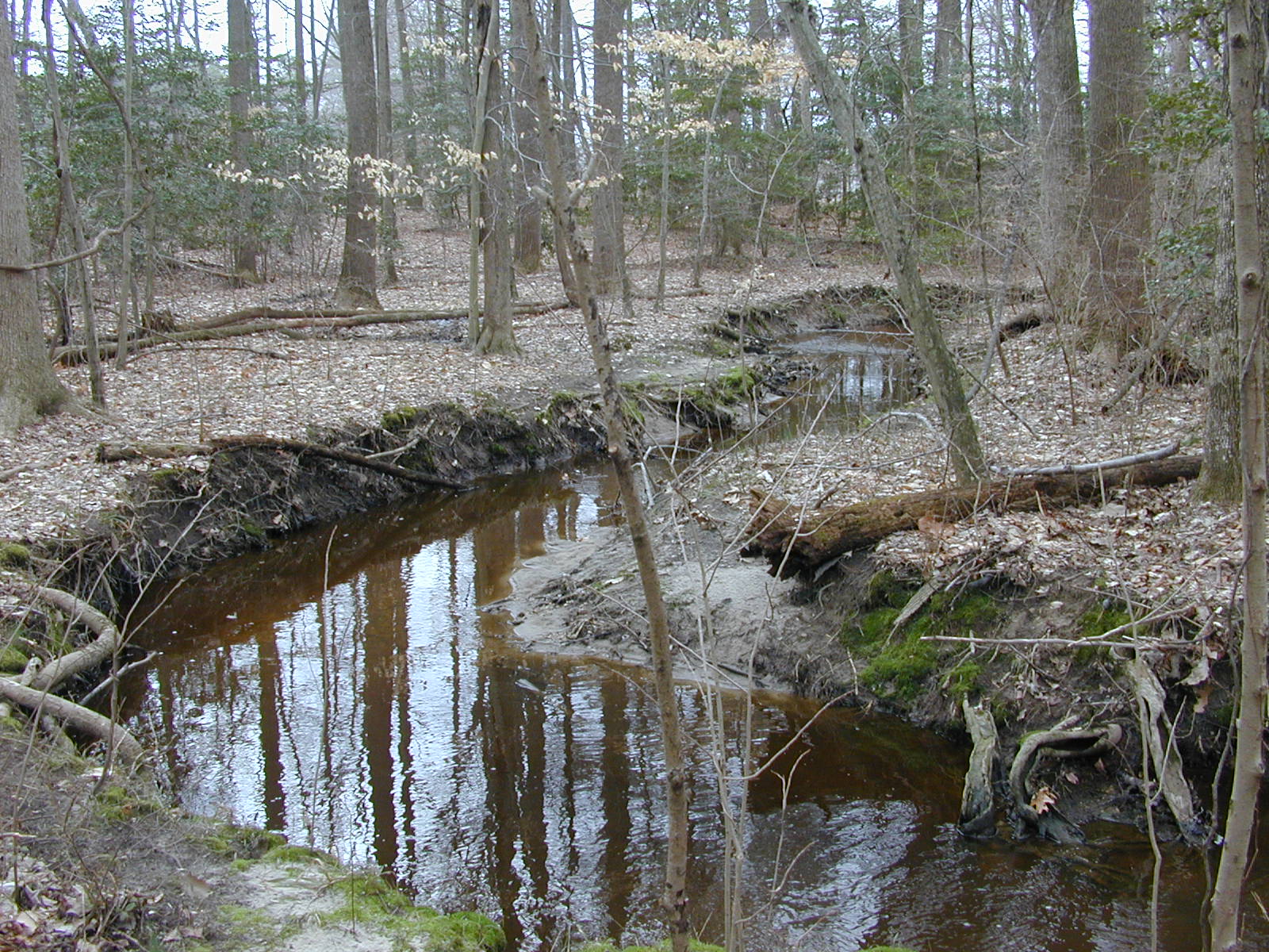 Field photo showing stream conditions at site UPCK-113-S-2003-0891