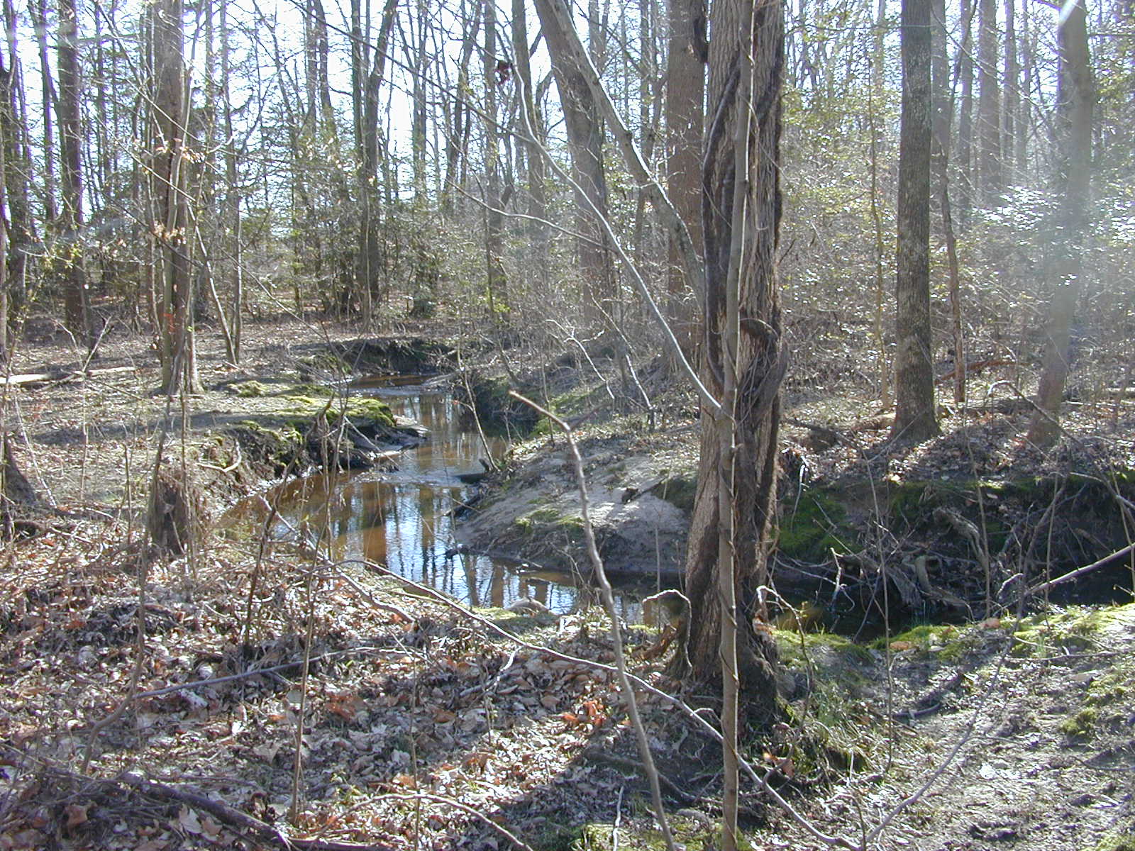 Field photo showing stream conditions at site UPCK-113-S-2004-1