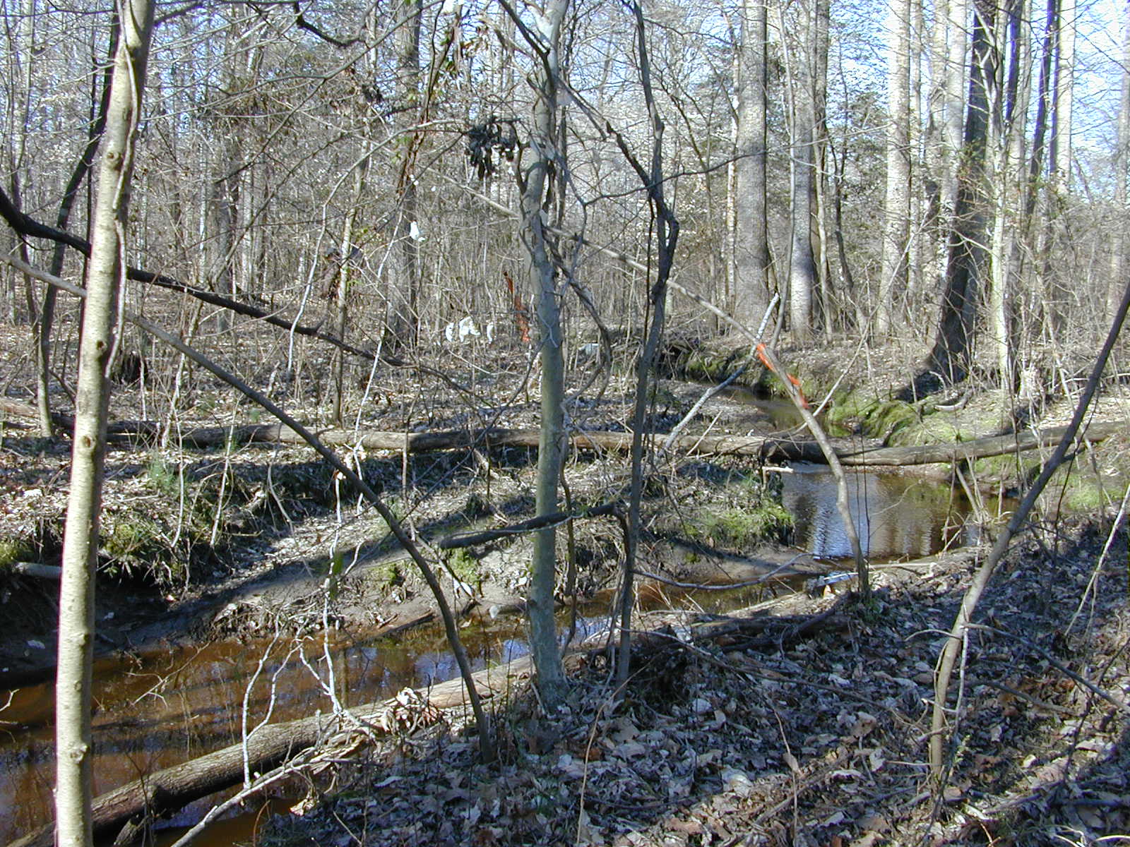 Field photo showing stream conditions at site UPCK-113-S-2004-2