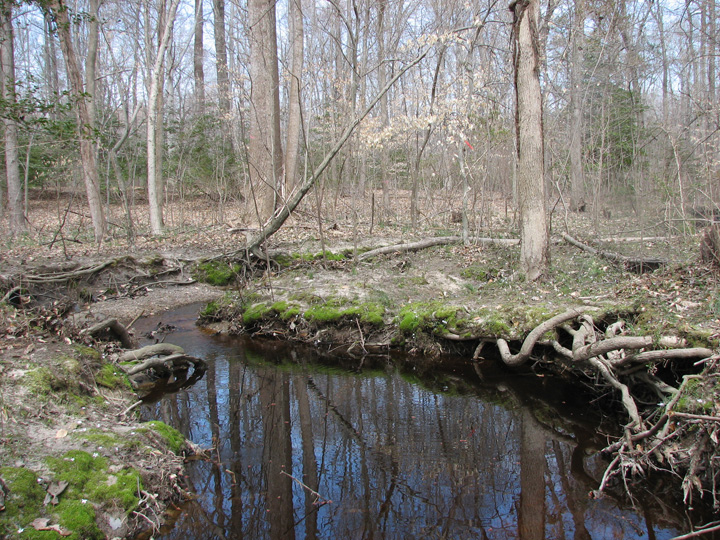 Field photo showing stream conditions at site UPCK-113-S-2007-1