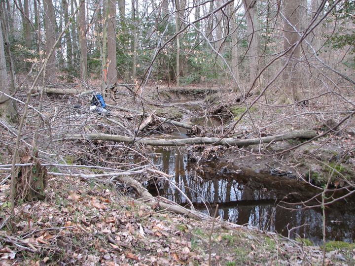 Field photo showing stream conditions at site UPCK-113-S-2008-1