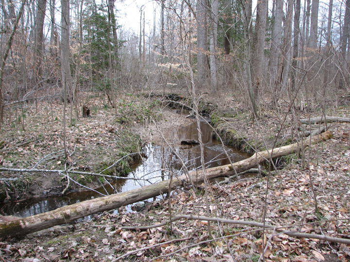 Field photo showing stream conditions at site UPCK-113-S-2008-2