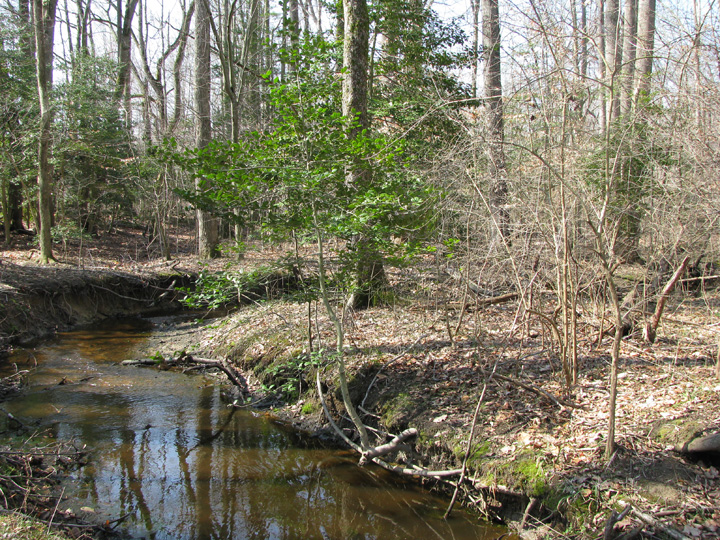 Field photo showing stream conditions at site UPCK-113-S-2009-1