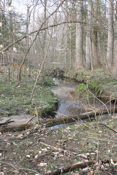 Field photo showing stream conditions at site UPCK-113-S-2010-1
