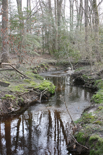 Field photo showing stream conditions at site UPCK-113-S-2010-2