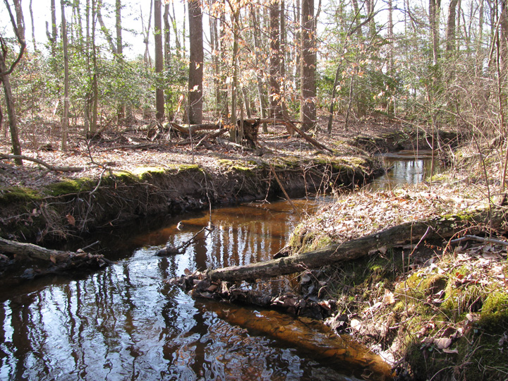 Field photo showing stream conditions at site UPCK-113-S-2011-1