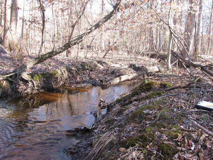 Field photo showing stream conditions at site UPCK-113-S-2011-2
