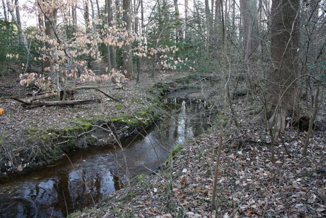 Field photo showing stream conditions at site UPCK-113-S-2012-MidpointPdownstream