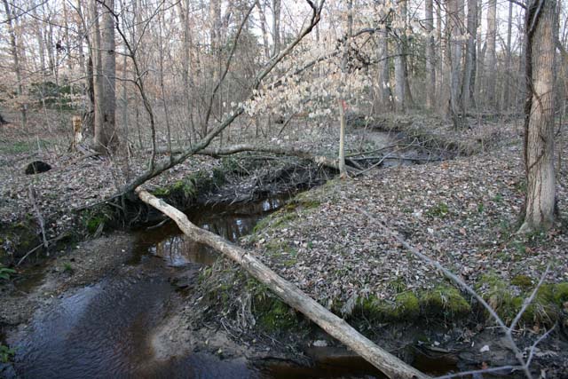 Field photo showing stream conditions at site UPCK-113-S-2012-MidpointPupstream