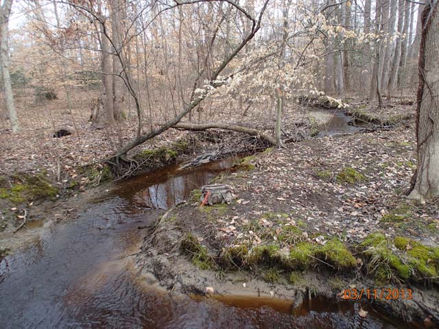 Field photo showing stream conditions at site UPCK-113-S-2013-MidpointPupstream