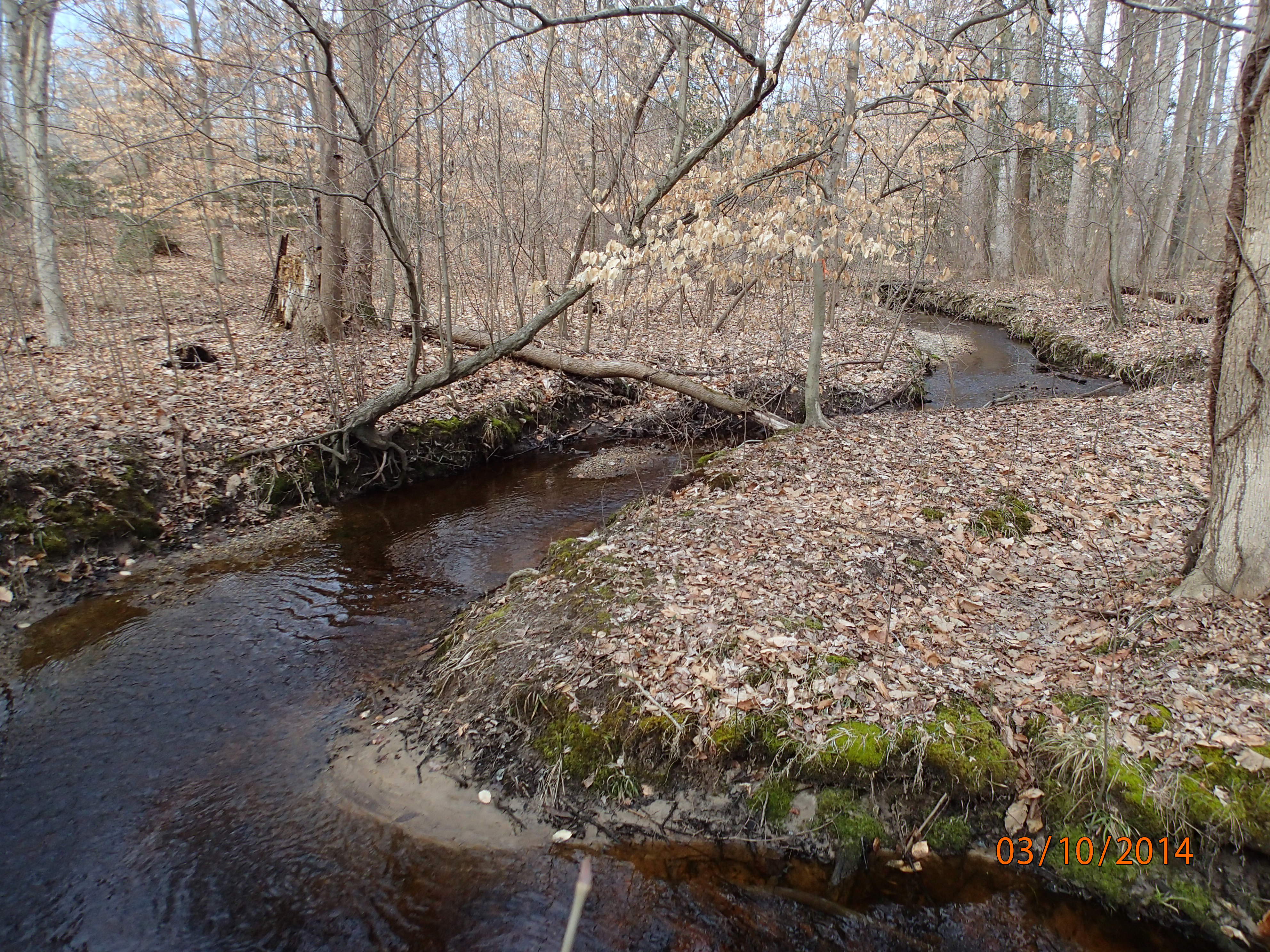 Field photo showing stream conditions at site UPCK-113-S-2014-MidpointUpstream