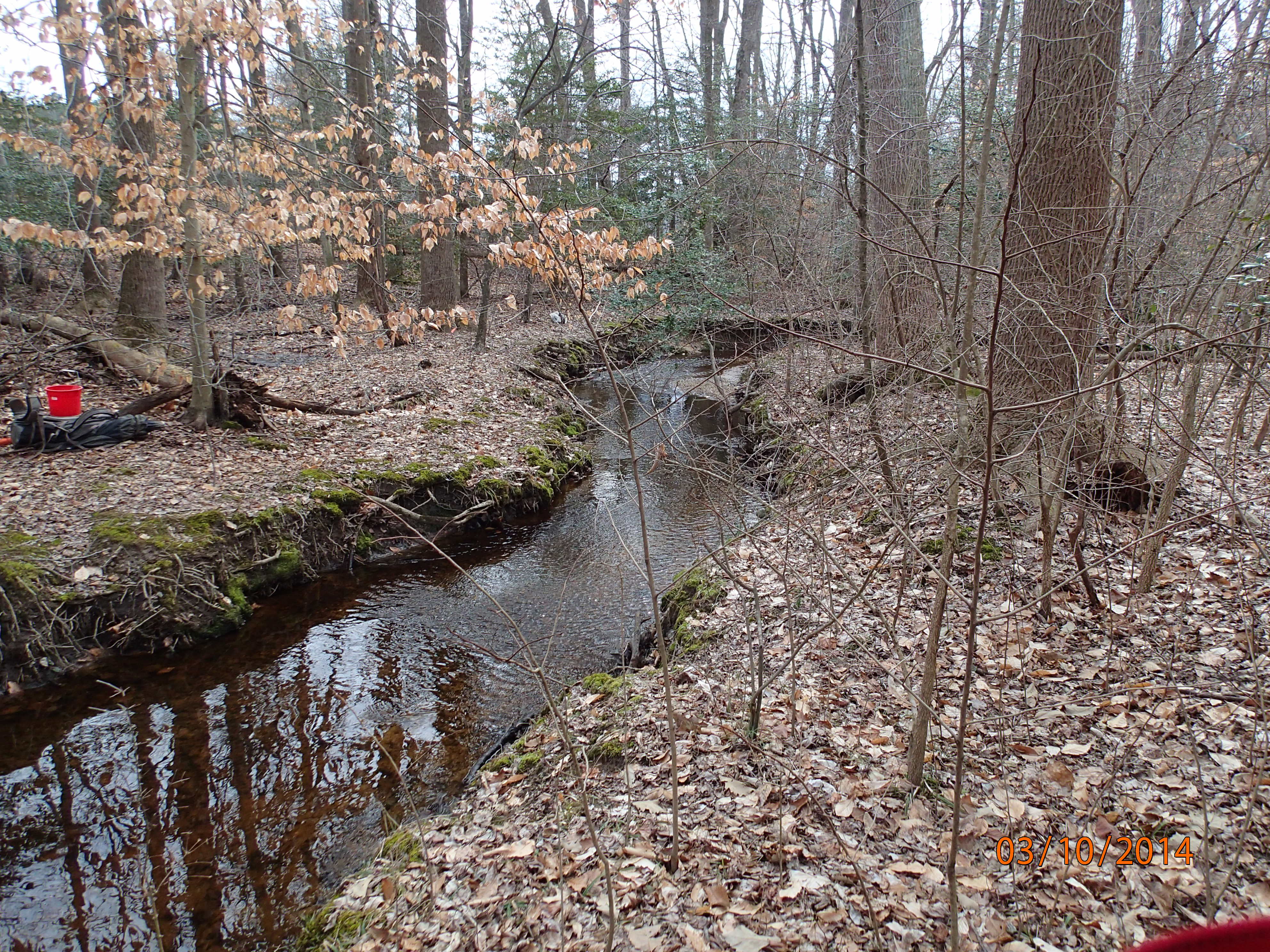 Field photo showing stream conditions at site UPCK-113-S-2014-Midpointdownstream