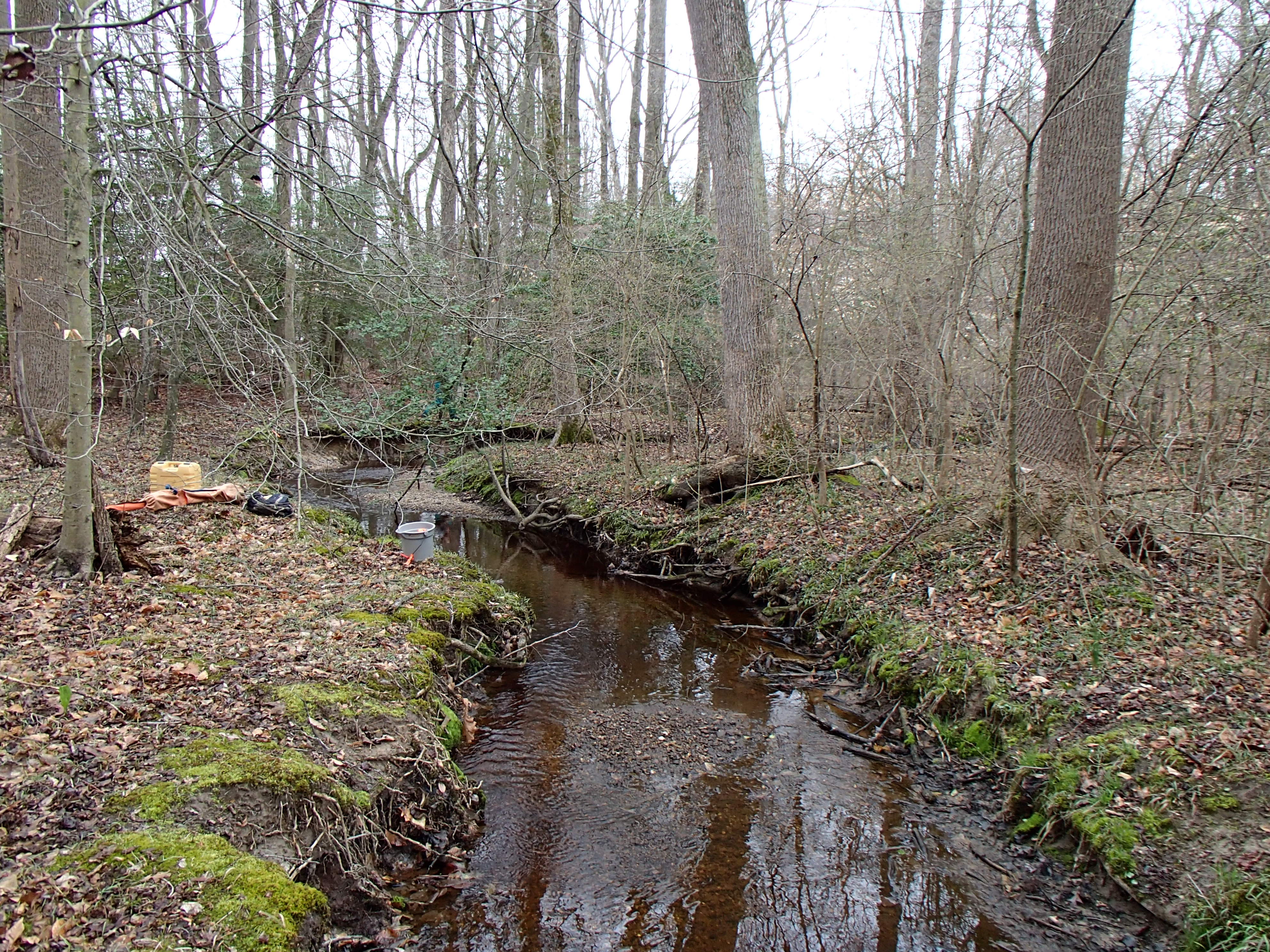 Field photo showing stream conditions at site UPCK-113-S-2015_Midpoint-downstream