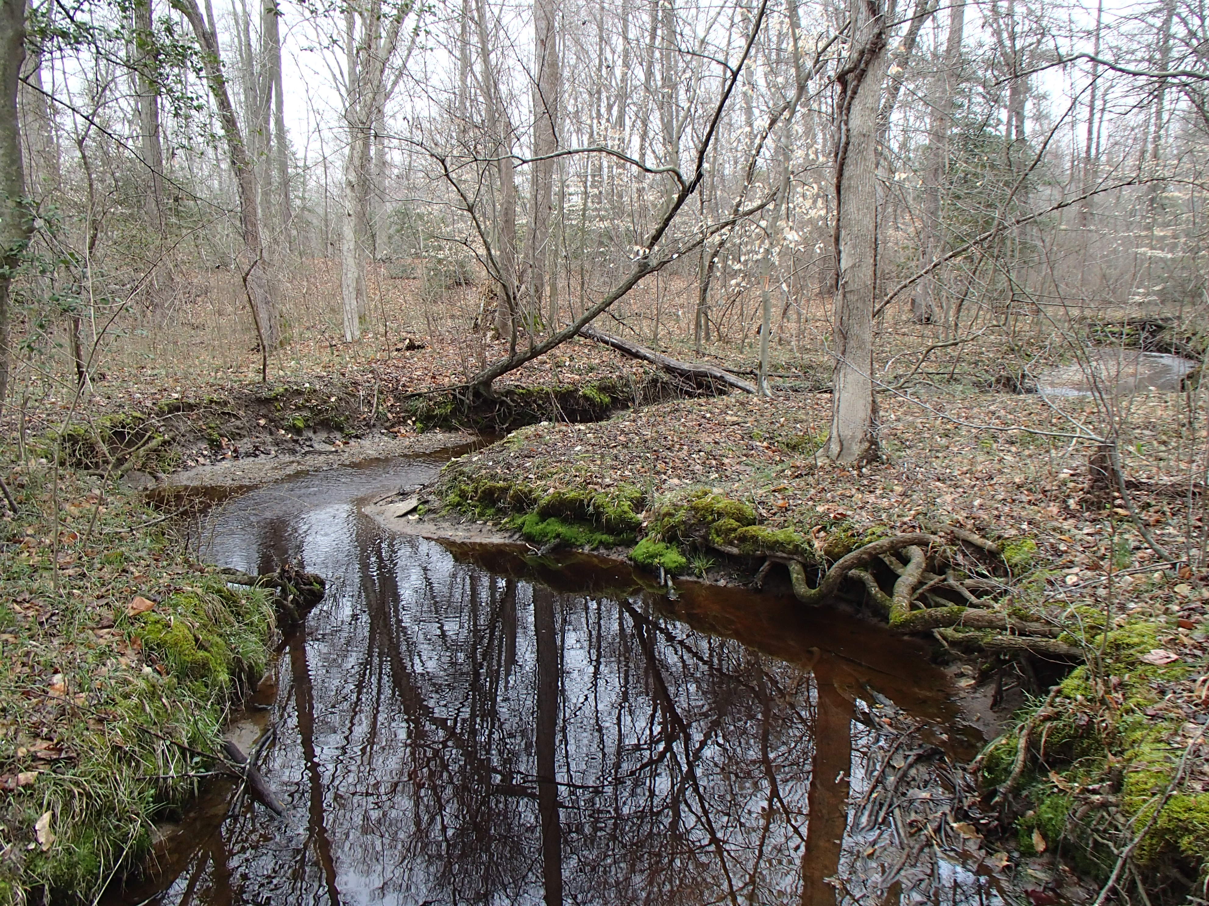 Field photo showing stream conditions at site UPCK-113-S-2015_Midpoint-upstream