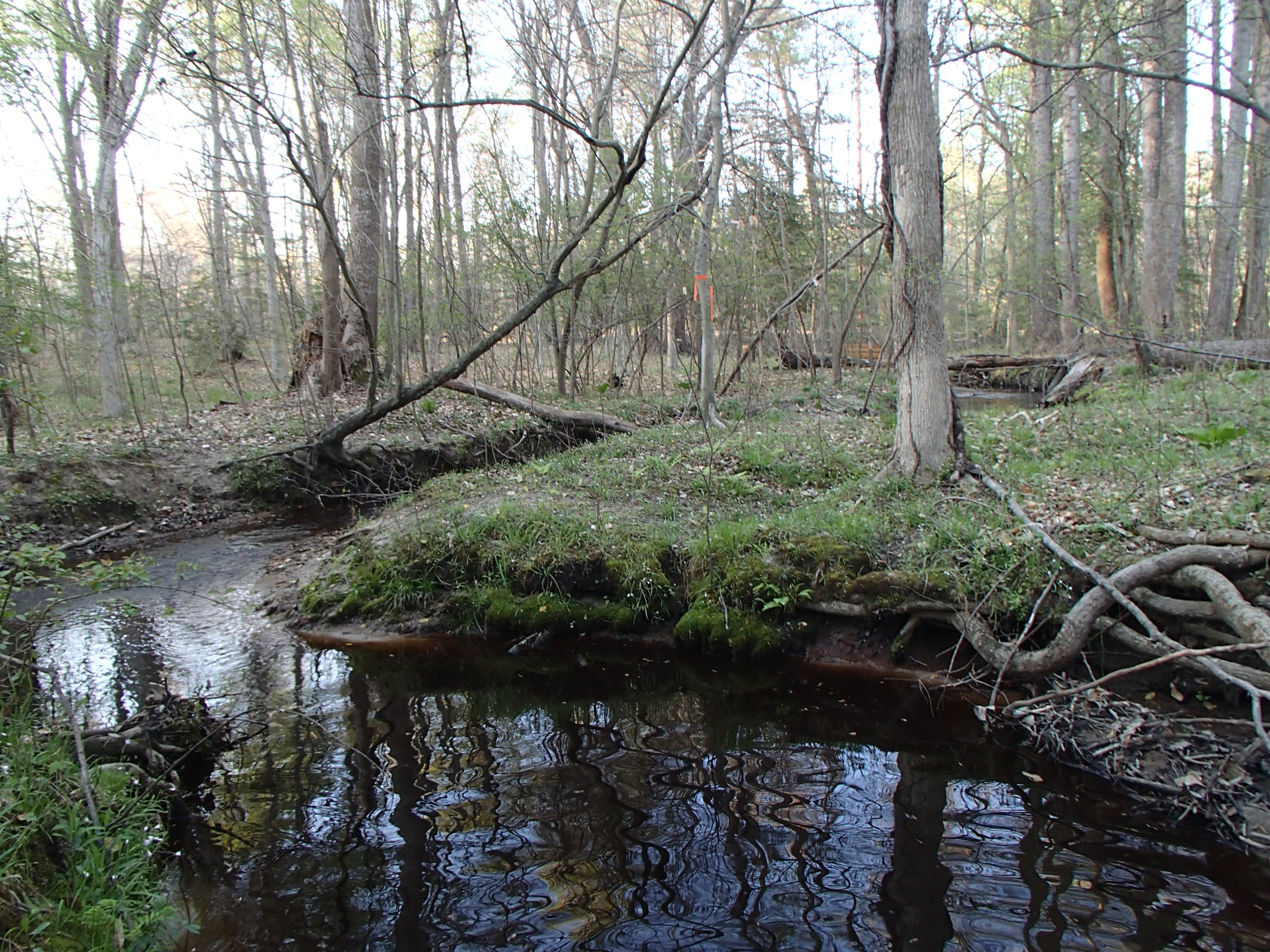 Field photo showing stream conditions at site UPCK-113-S-2017-MidpointLookingDownstream