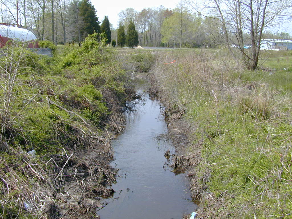 Field photo showing stream conditions at site UPCK-115-R-2000-01