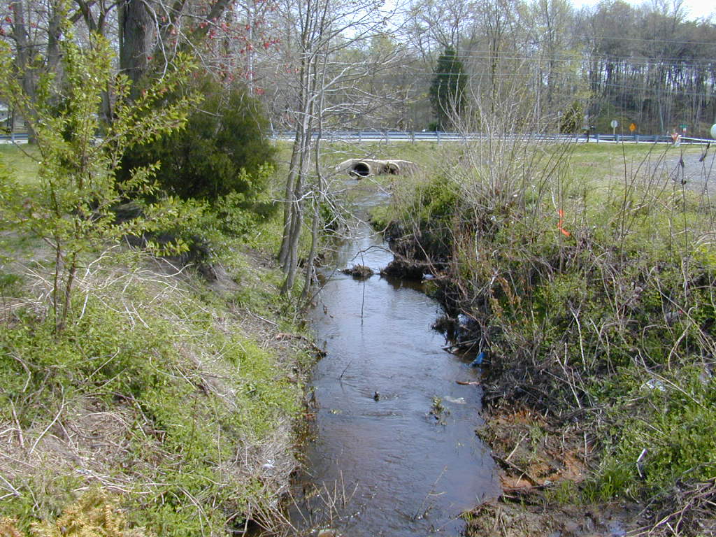 Field photo showing stream conditions at site UPCK-115-R-2000-02
