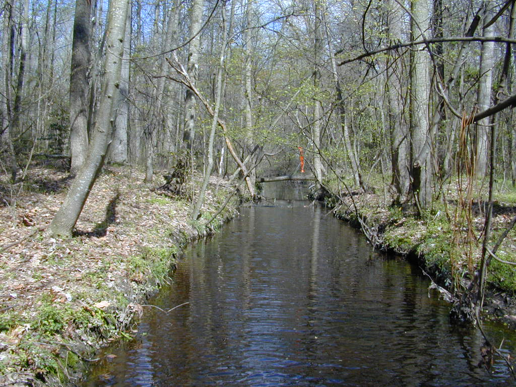 Field photo showing stream conditions at site UPCK-118-R-2000-01