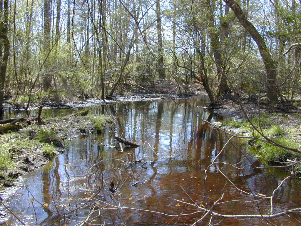 Field photo showing stream conditions at site UPCK-118-R-2000-02