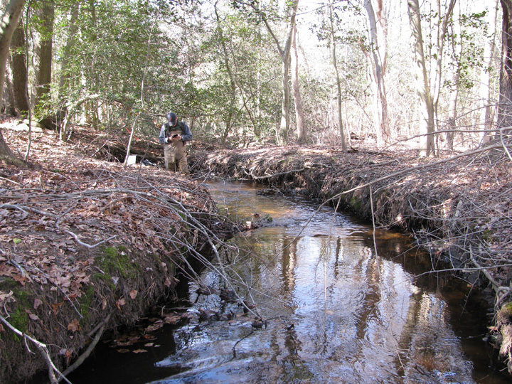 Field photo showing stream conditions at site UPCK-119-A-2011-1