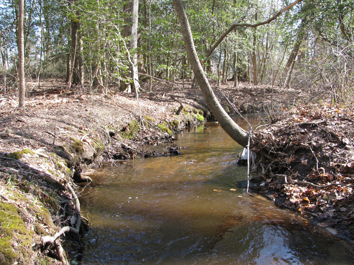 Field photo showing stream conditions at site UPCK-119-A-2011-2