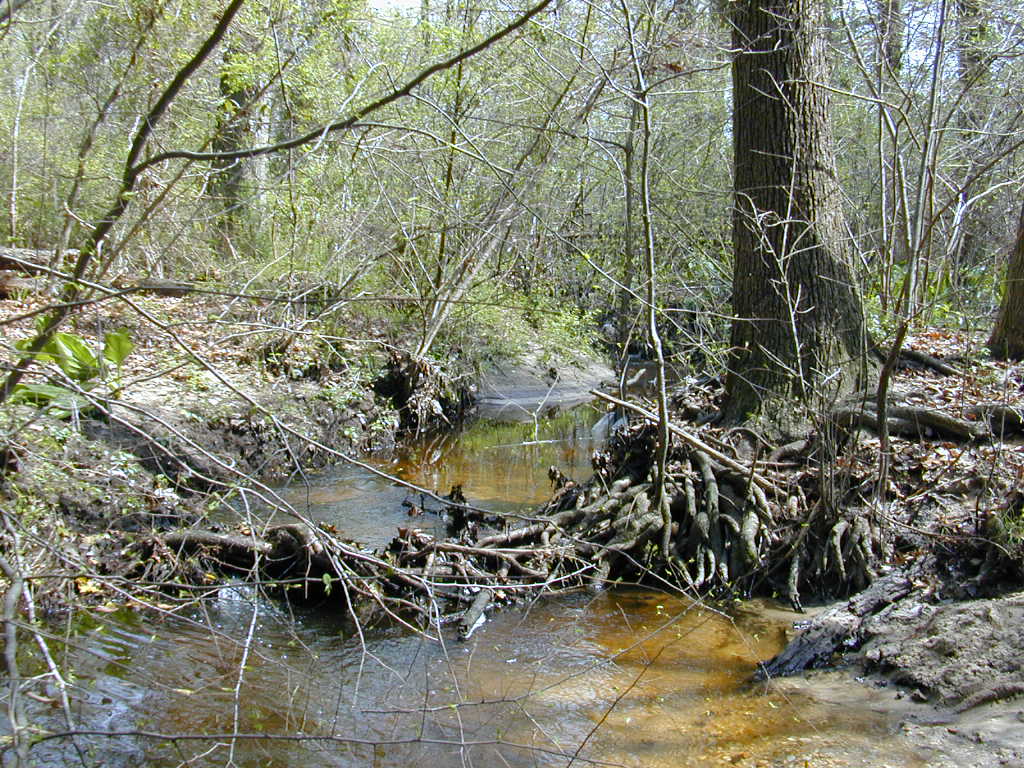 Field photo showing stream conditions at site UPCK-119-R-2000-01