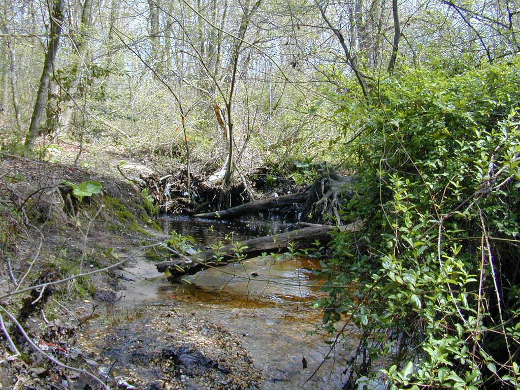 Field photo showing stream conditions at site UPCK-119-R-2000-02