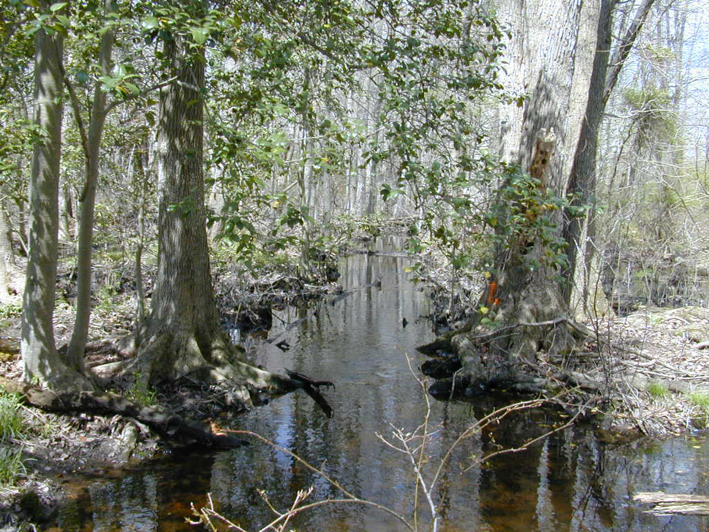 Field photo showing stream conditions at site UPCK-122-R-2000-01