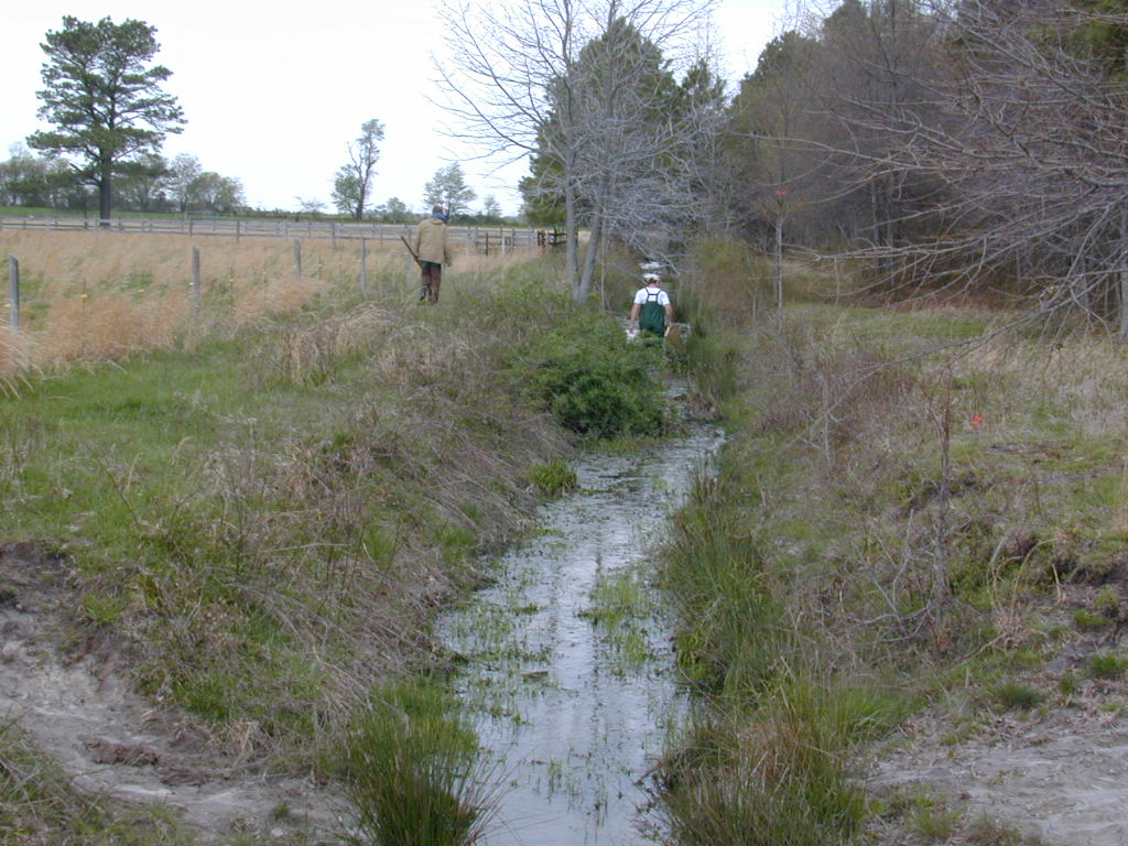 Field photo showing stream conditions at site UPCK-130-R-2000-01