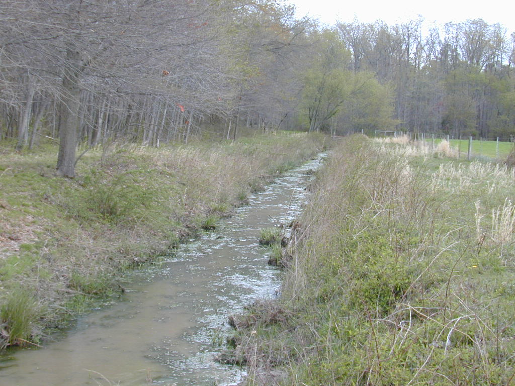 Field photo showing stream conditions at site UPCK-130-R-2000-02