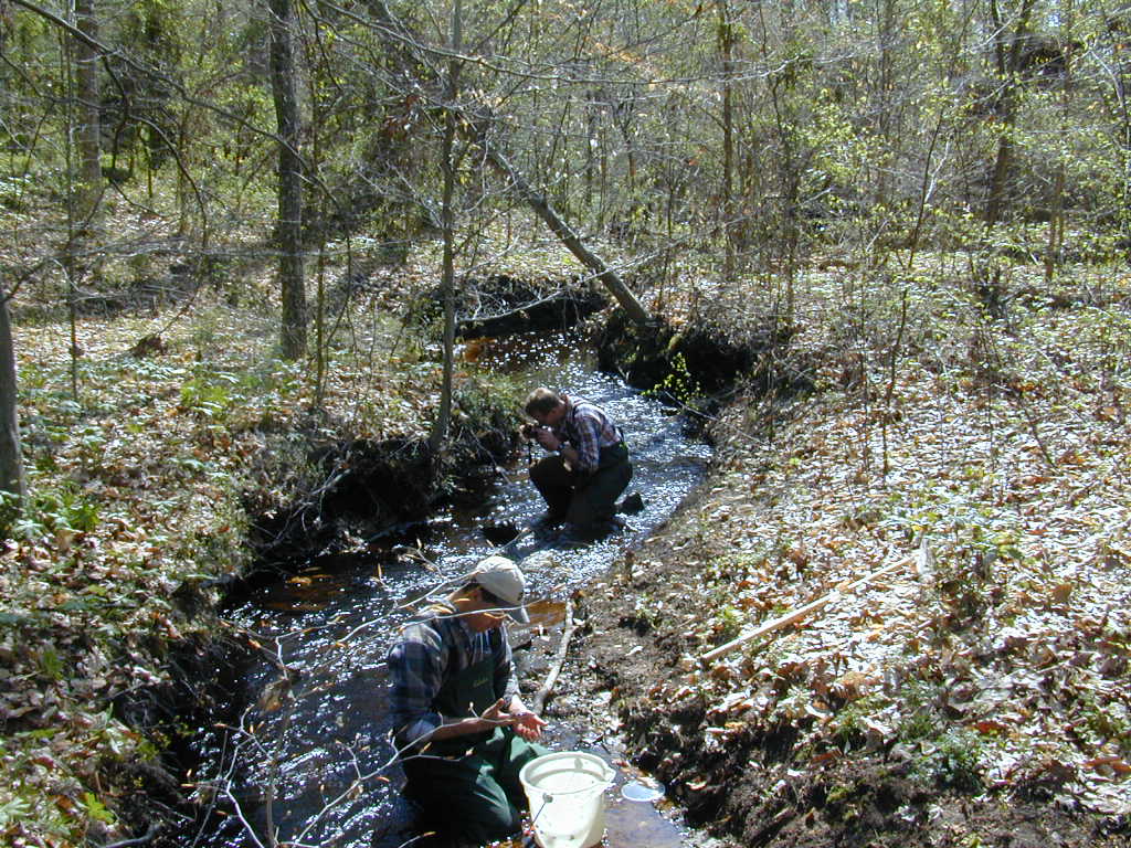 Field photo showing stream conditions at site UPCK-132-R-2000-01