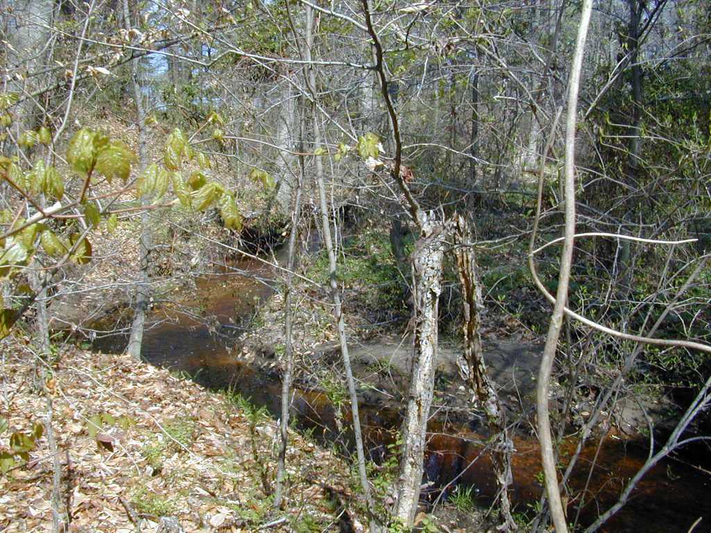 Field photo showing stream conditions at site UPCK-132-R-2000-02
