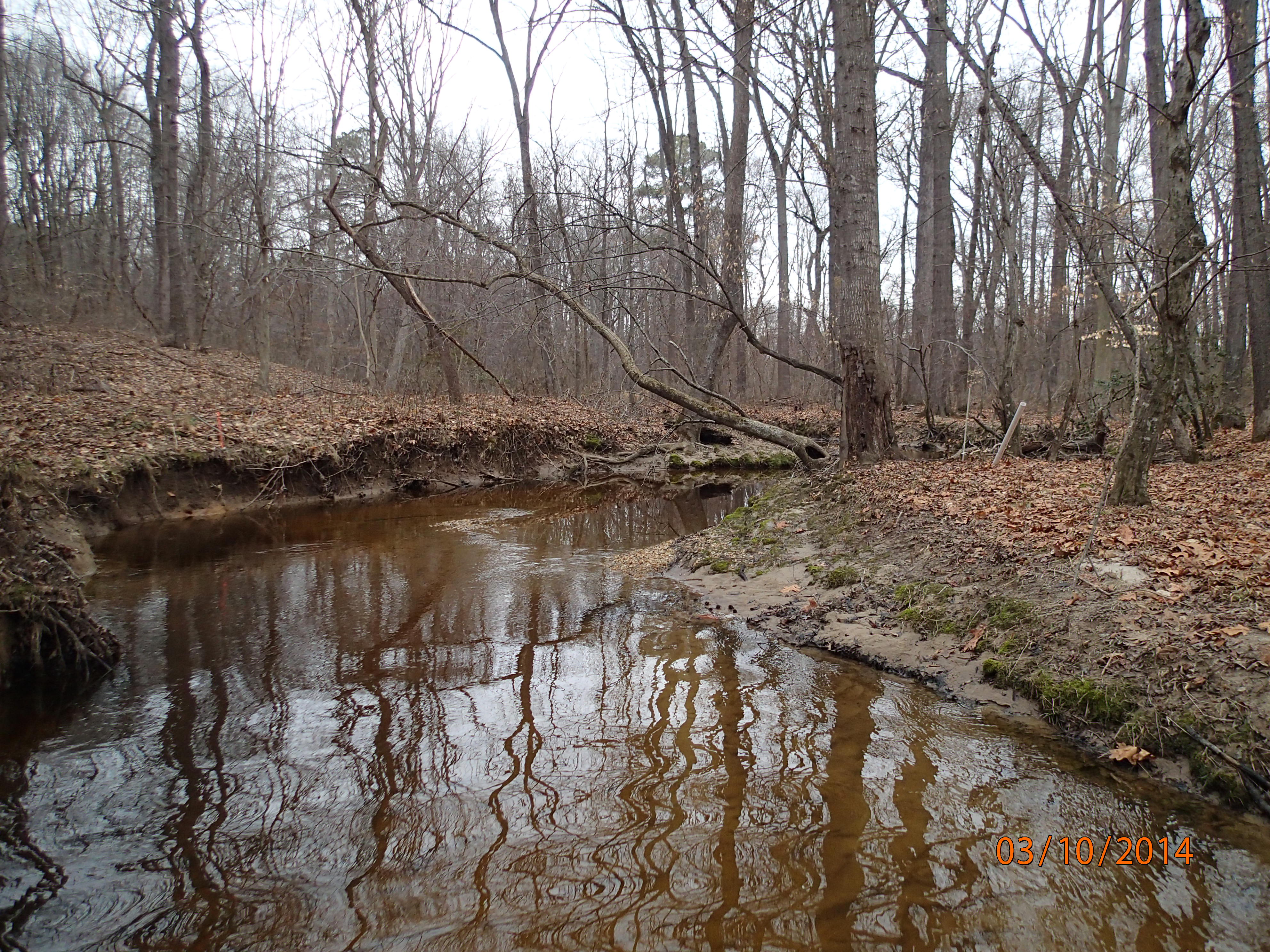Field photo showing stream conditions at site UPCK-203-R-2014-MidpointUpstream