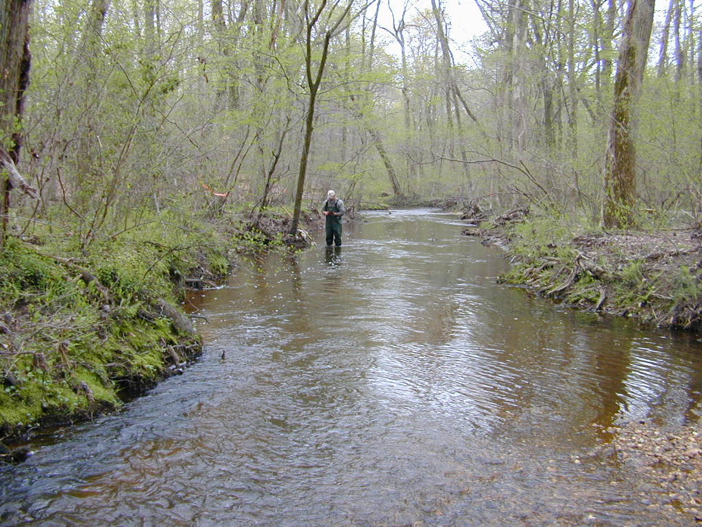 Field photo showing stream conditions at site UPCK-204-R-2000-01