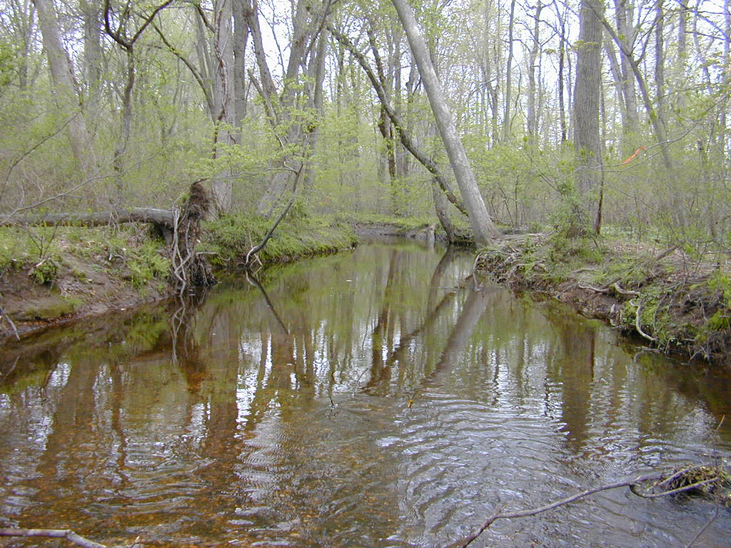 Field photo showing stream conditions at site UPCK-204-R-2000-02