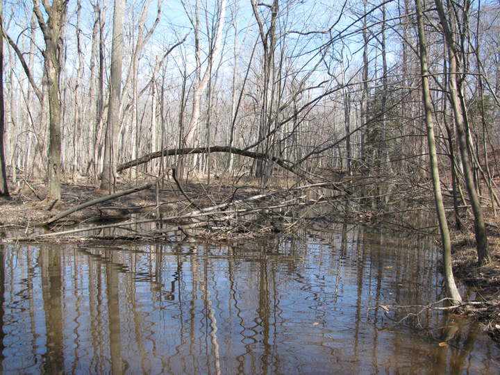 Field photo showing stream conditions at site UPCK-206-A-2011-2