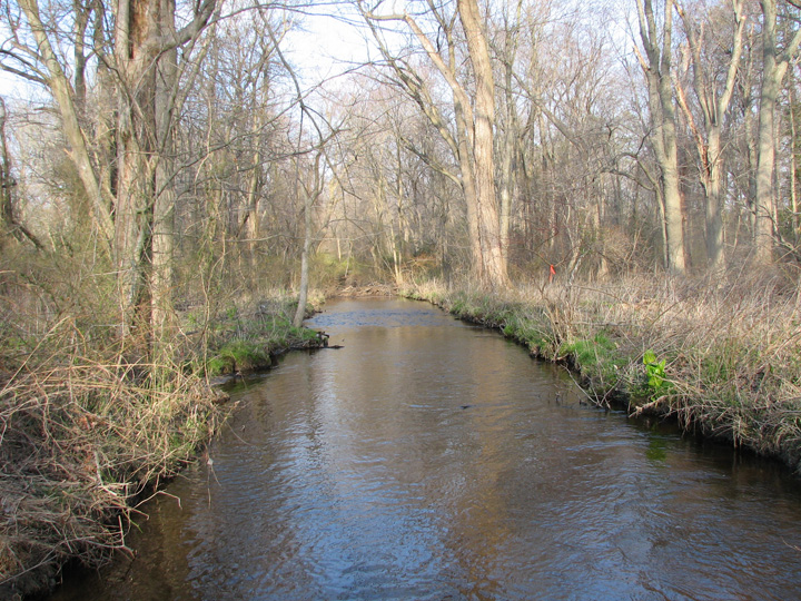 Field photo showing stream conditions at site UPCK-211-X-2007-2